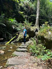 Best of Blackheath Bushwalking Weekend