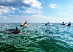 Private Jet Ski Tour