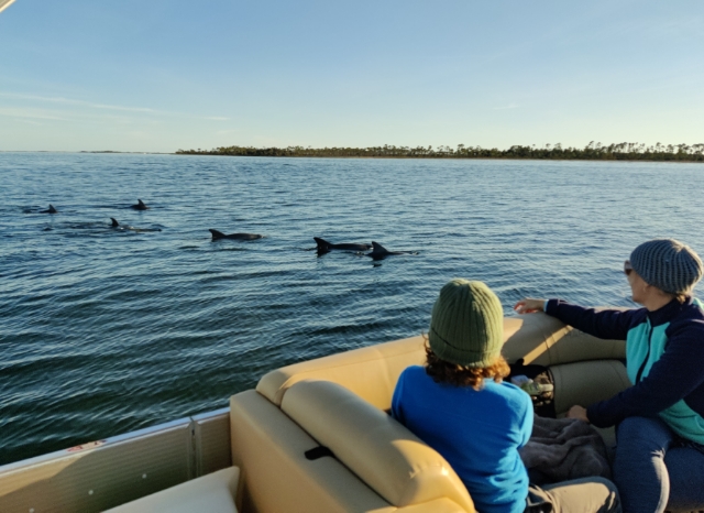 3 hour Private Boat Tour