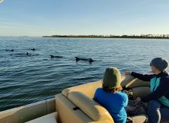 3 hour Private Boat Tour