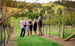 Wine & Dine In The Vines