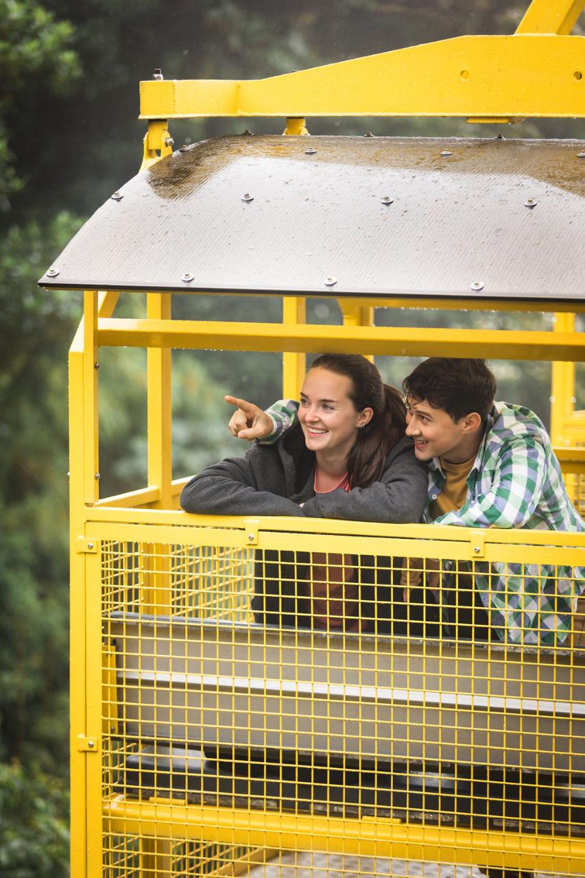 Monteverde Aerial Tram Tour