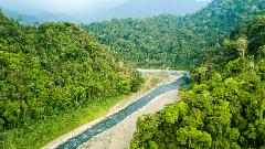 Manuel Antonio River Tubing