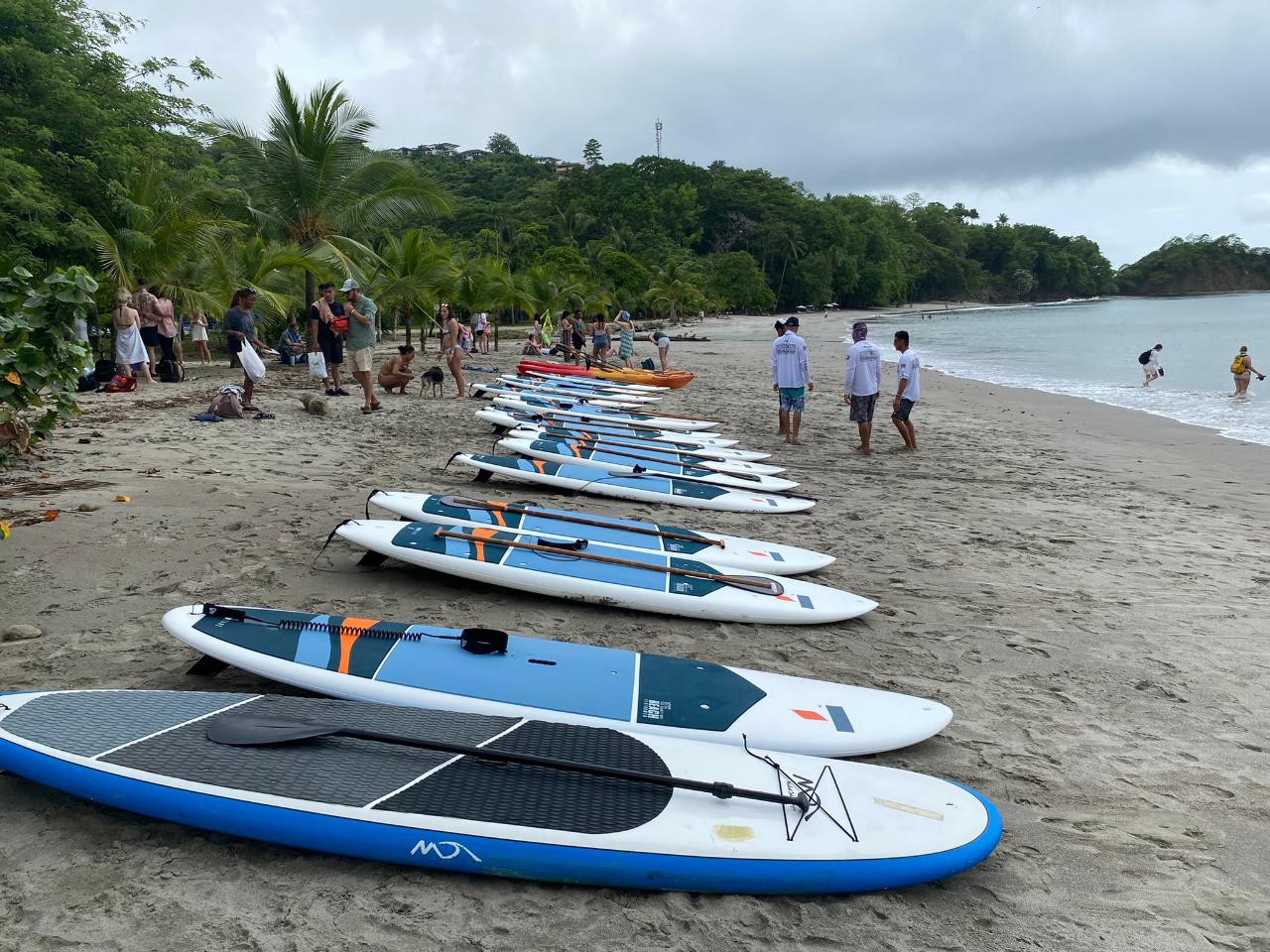 Stand Up Paddle Board