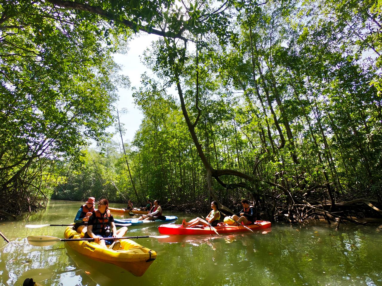 Isla Damas Mangrove Kayak Tour