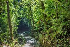 Monteverde Cloud Forest