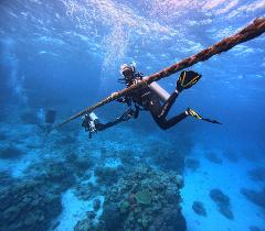 Privately Guided Dive Trip - SOLO DIVER