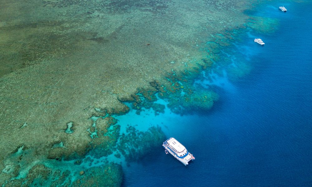 Liveaboard Trip - 4D/3N