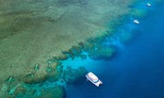 Liveaboard Trip - 4D/3N