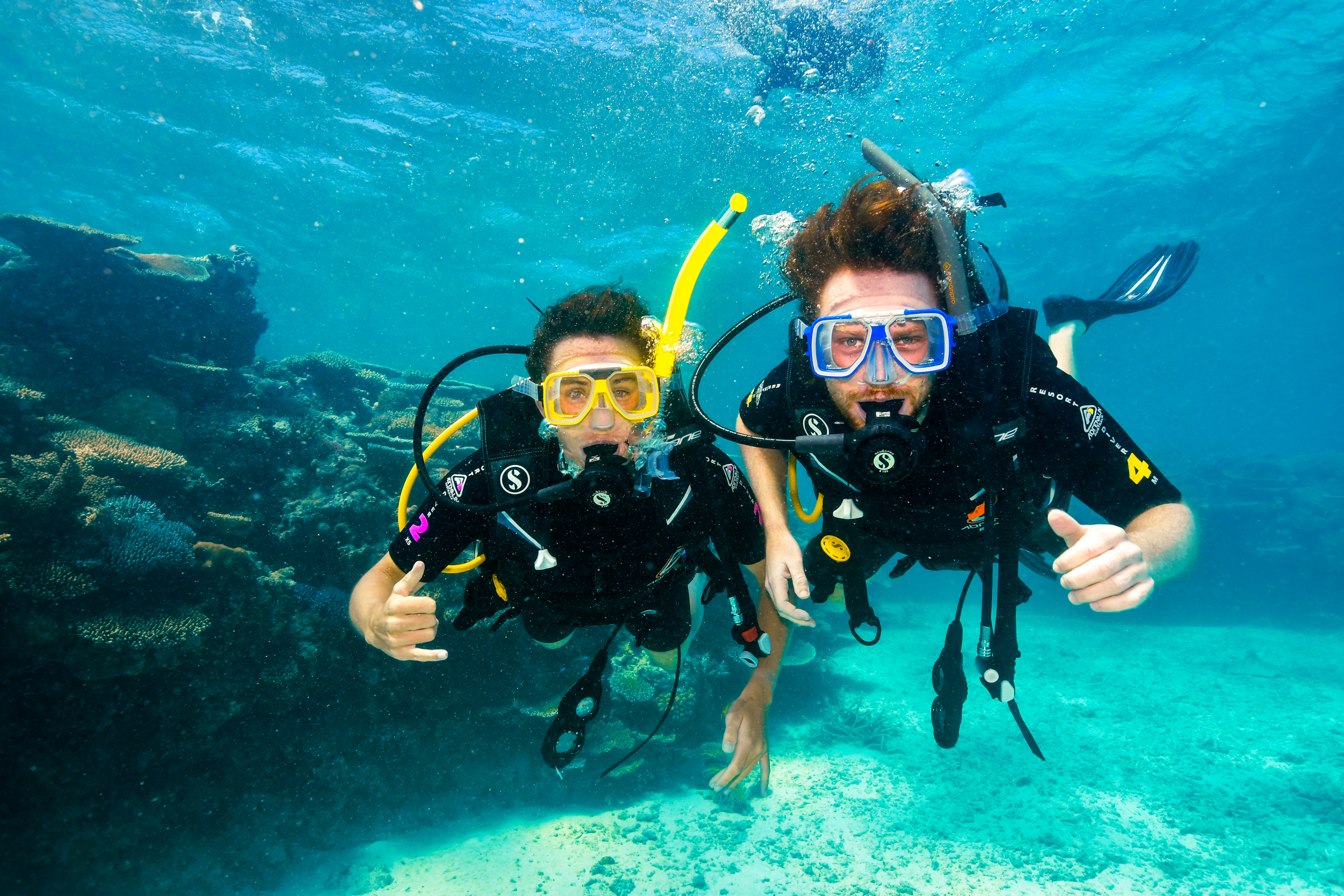 Guided Dive Trip - Outer Reef