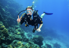 PADI Scuba Diver Course Port Douglas