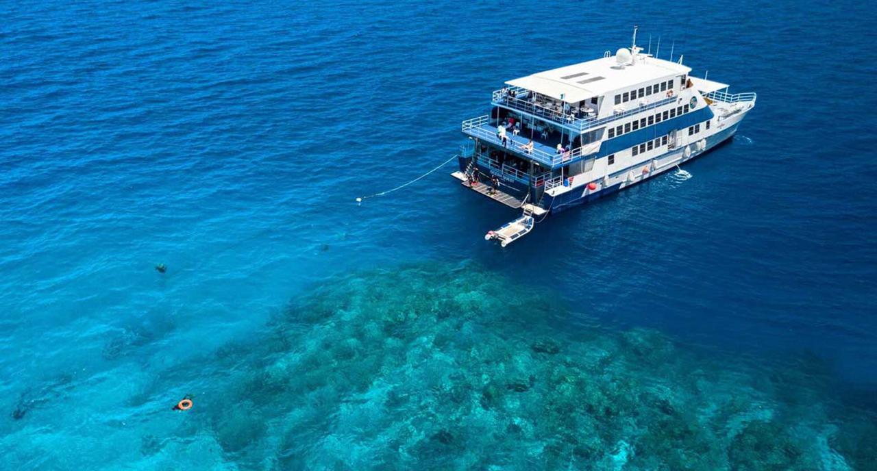 Liveaboard Trip - 3D/2N