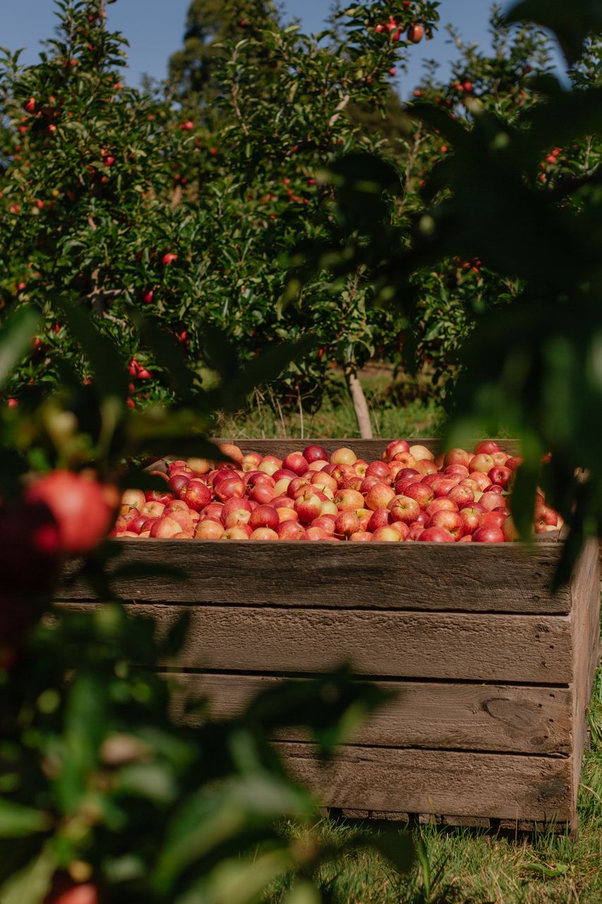 Long Weekend Gourmet Trail