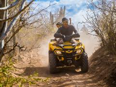 Cabo ATV Baja Discovery Tour