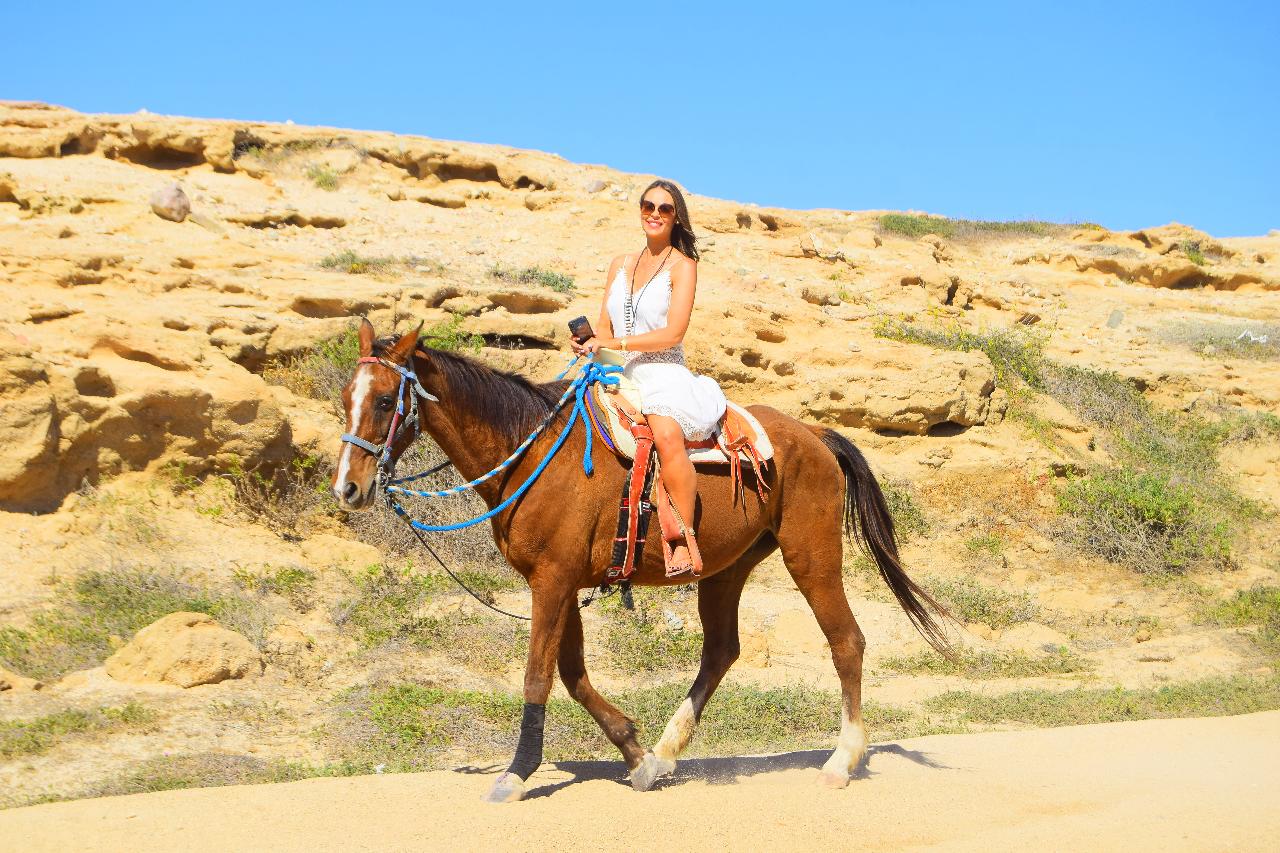 Horseback Riding Beach and Desert Tour