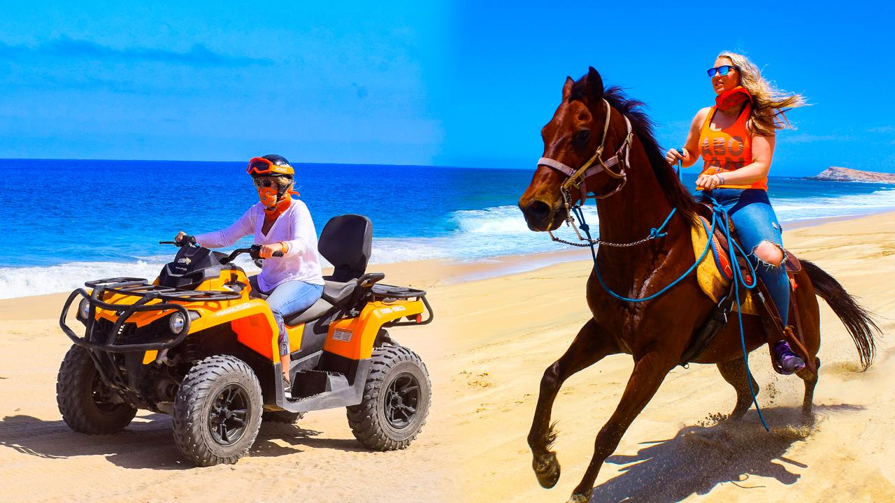 Combo Tour / #Save Tourism of Los Cabos