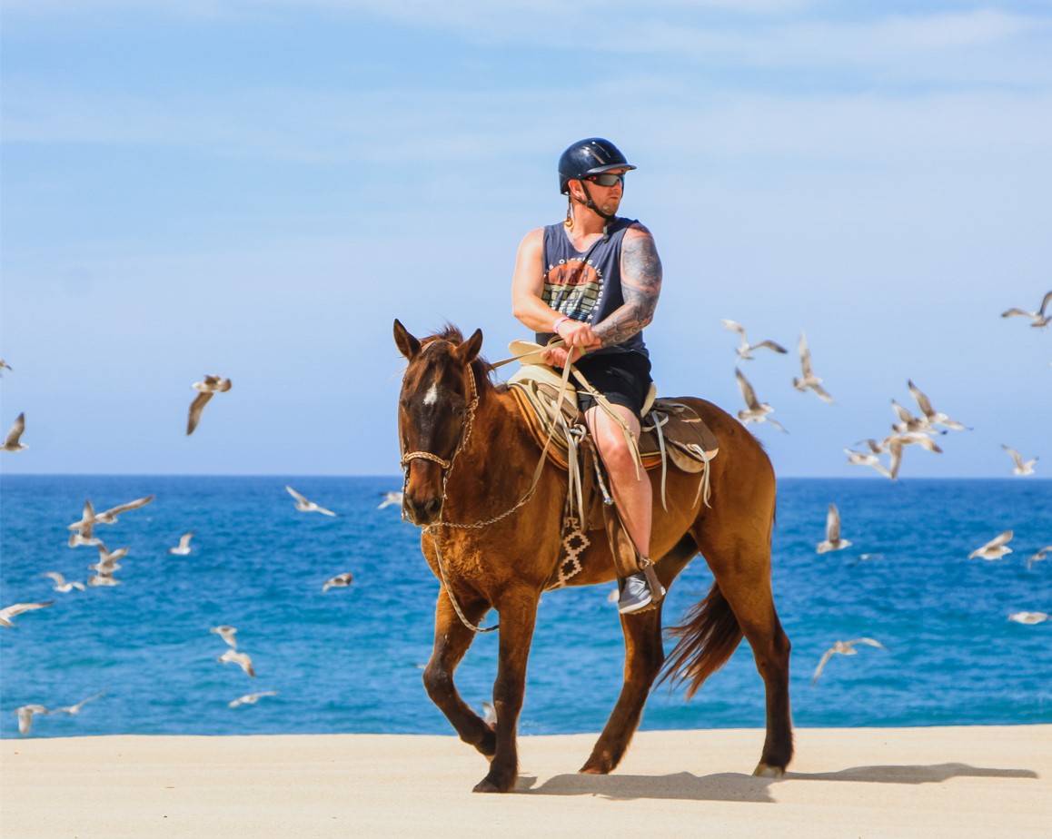 Paseo en Caballo Tour