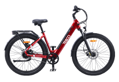 E-Bike