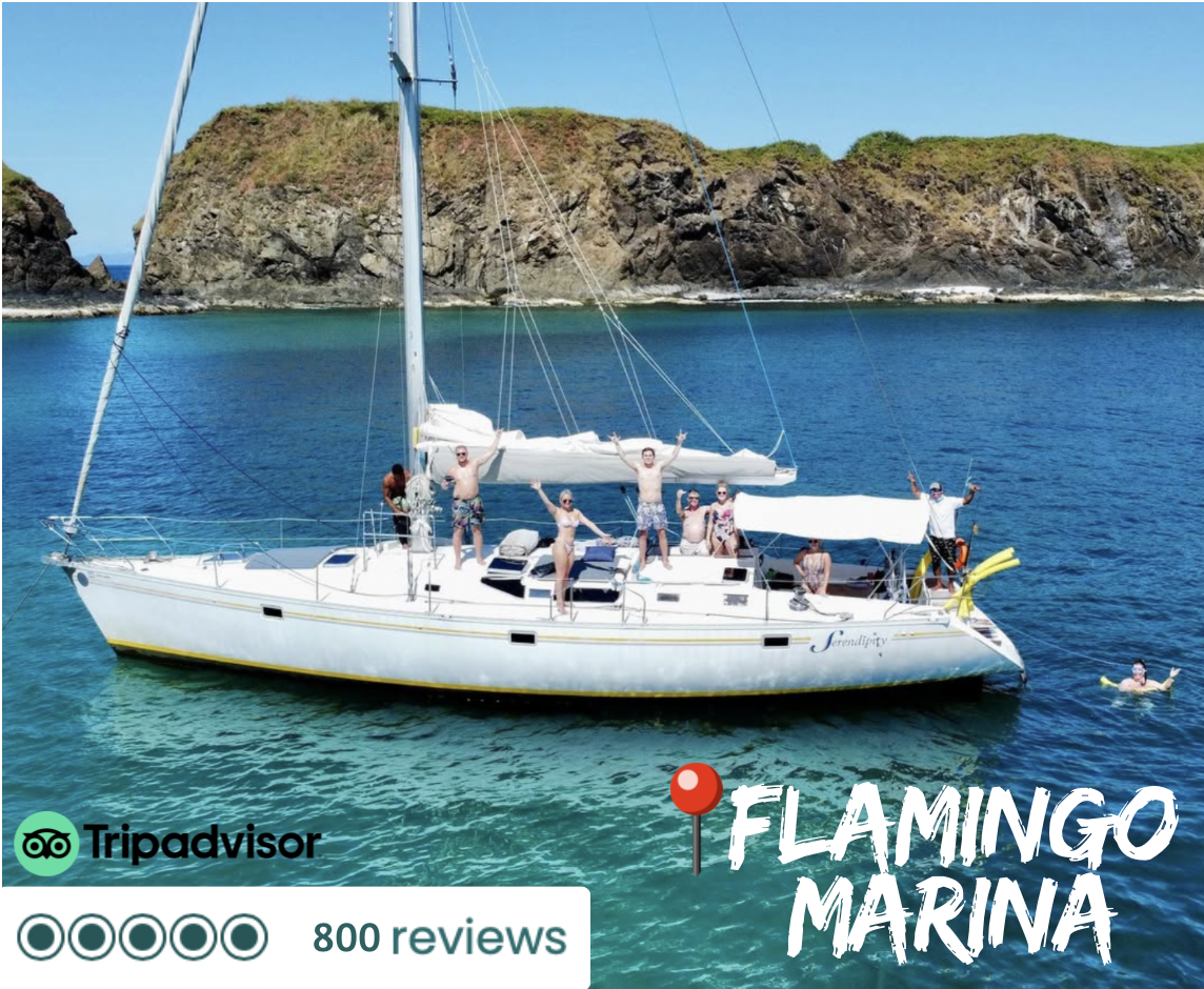 Flamingo Snorkel and Sunset Sailing with Lunch
