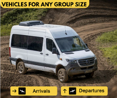 Private One-Way LIR Airport Transfer  