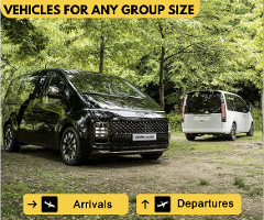 Private Round-Trip LIR Airport Transfer 