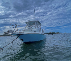 Blue Runner Tamarindo Sportfishing