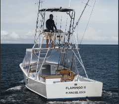 Flamingo II Tamarindo Sportfishing