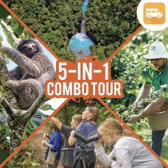 Blue Waterfall Hike + Rainforest Sloth Discovery + Coffee/Chocolate Tour 