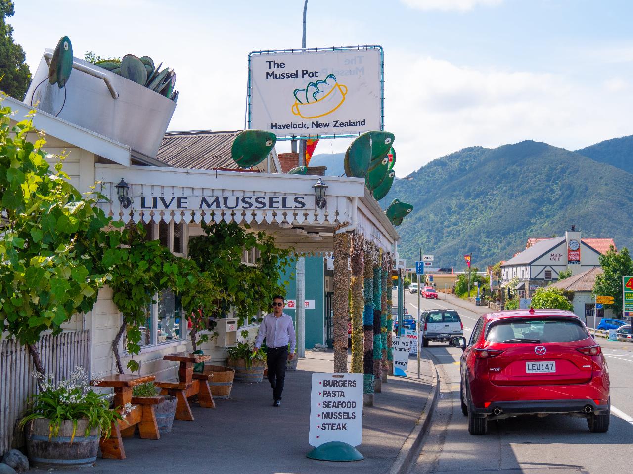 Full Day Scenic Marlborough and Wine Tour