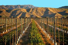 Marlborough Highlights