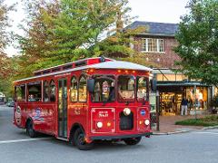 The Hop-On/Hop-Off Trolley Tour of Asheville