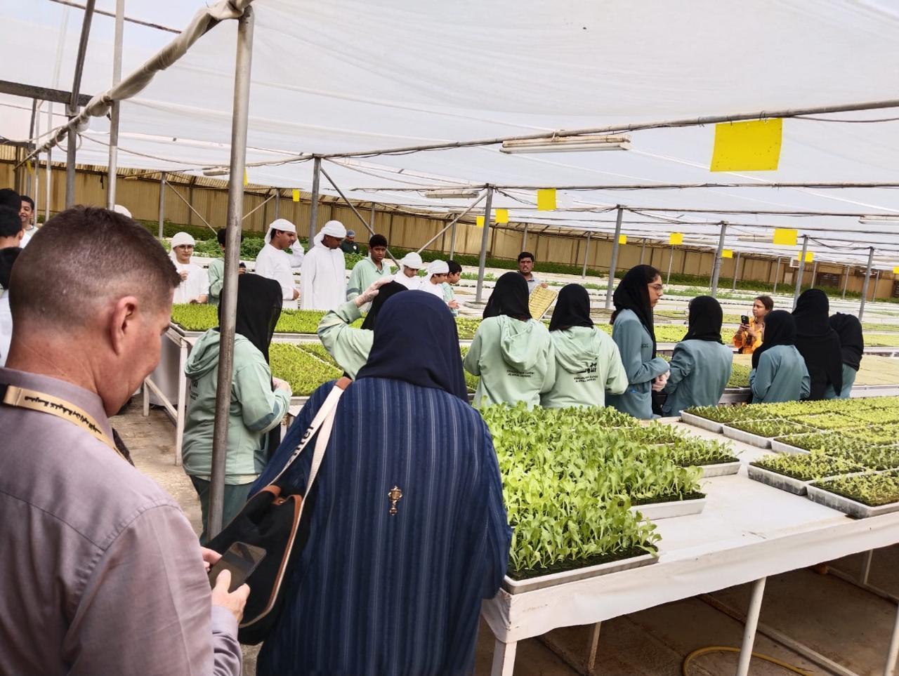 Hydroponic Farm Tour (Abu Dhabi)