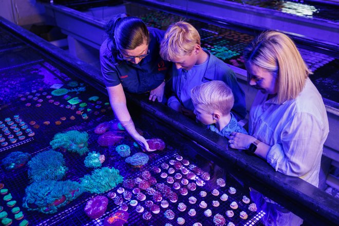 Coral Farm Tour