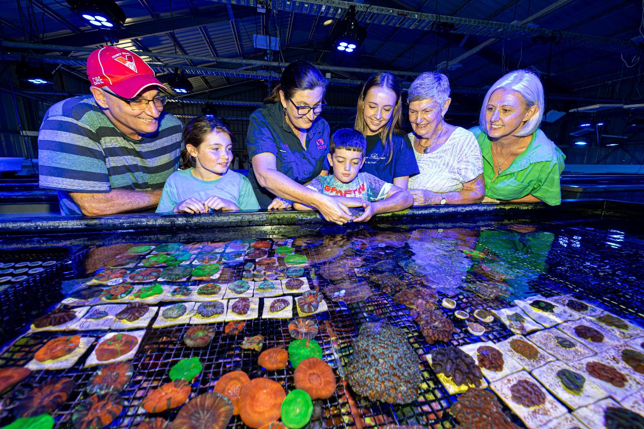 Monsoon Aquatics Coral Farm Tours