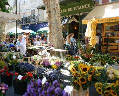 Provence Highlights