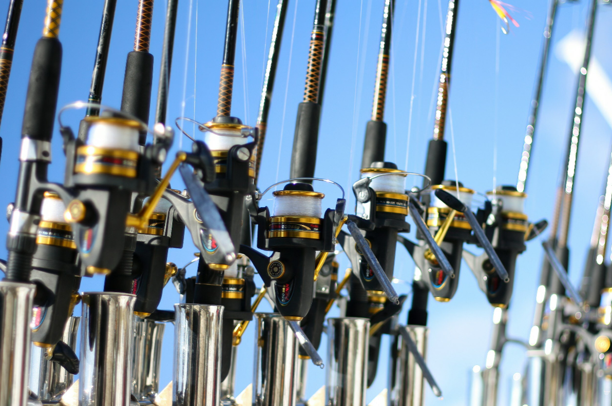 Fishing Charter