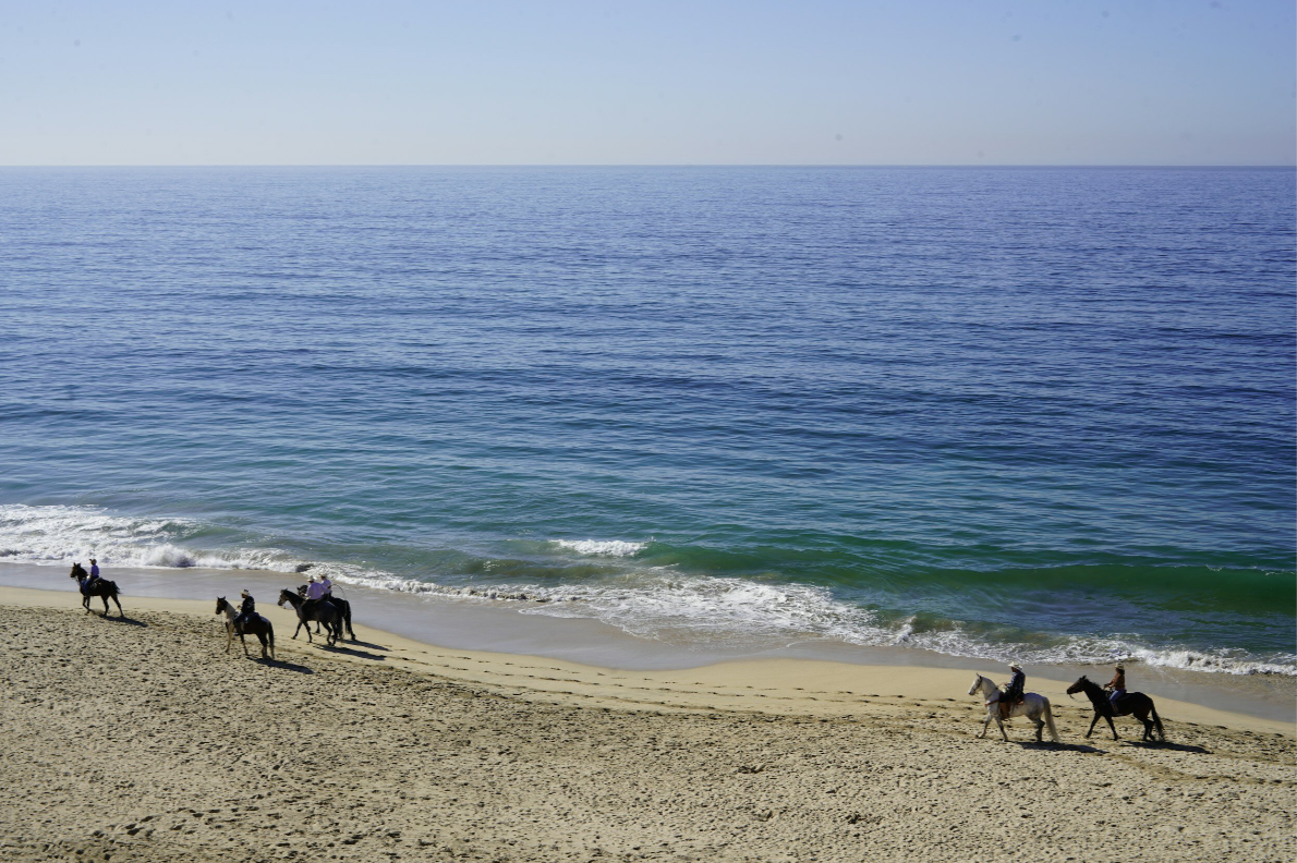 Horseback Riding & Beach Break