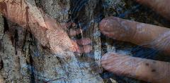 Nature Festival - Elemental Flow: Returning to the Wild Self