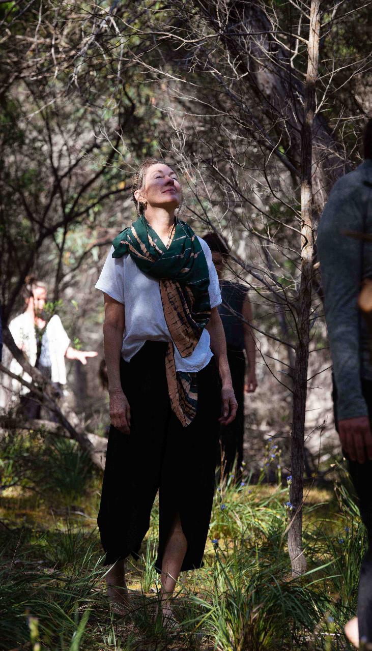 Sensory Forest Flow