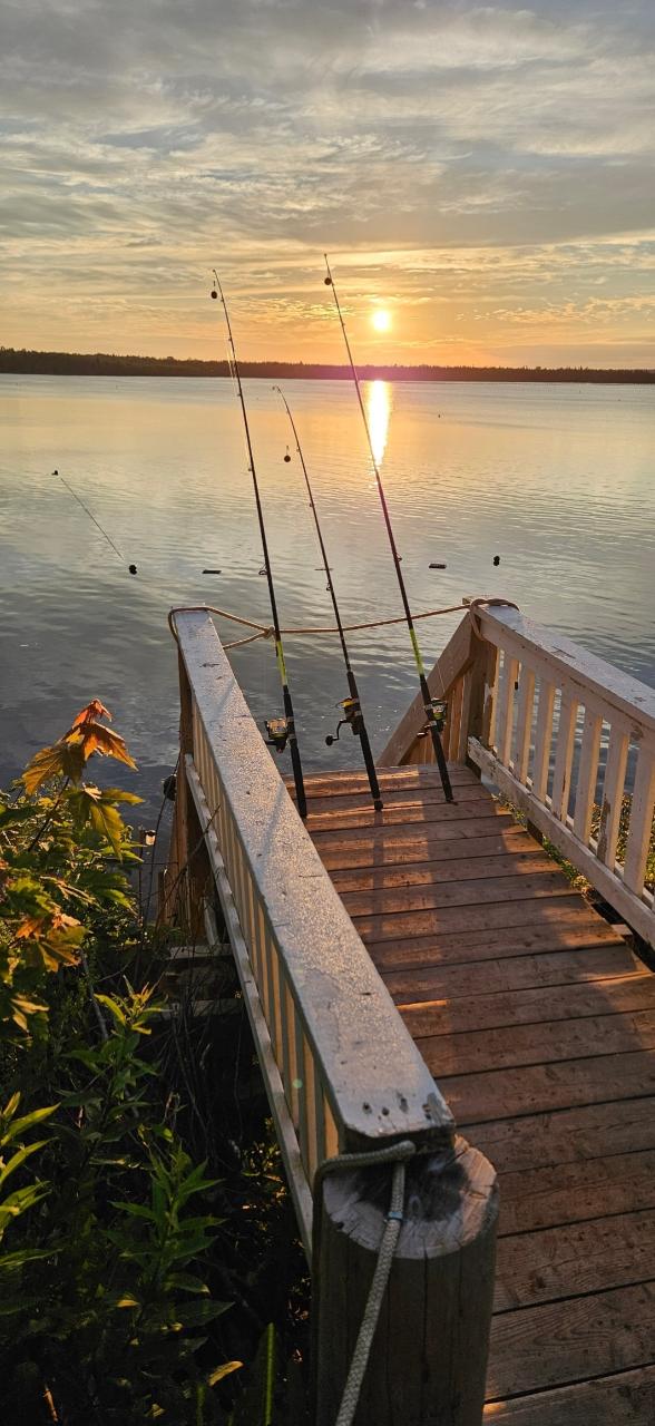 Guided Bass Fishing