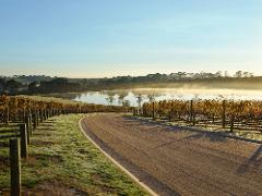Pt. Leo Estate Vineyard & Wine Immersion