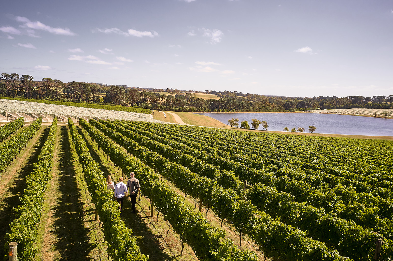 Pt. Leo Estate Vineyard & Wine Immersion