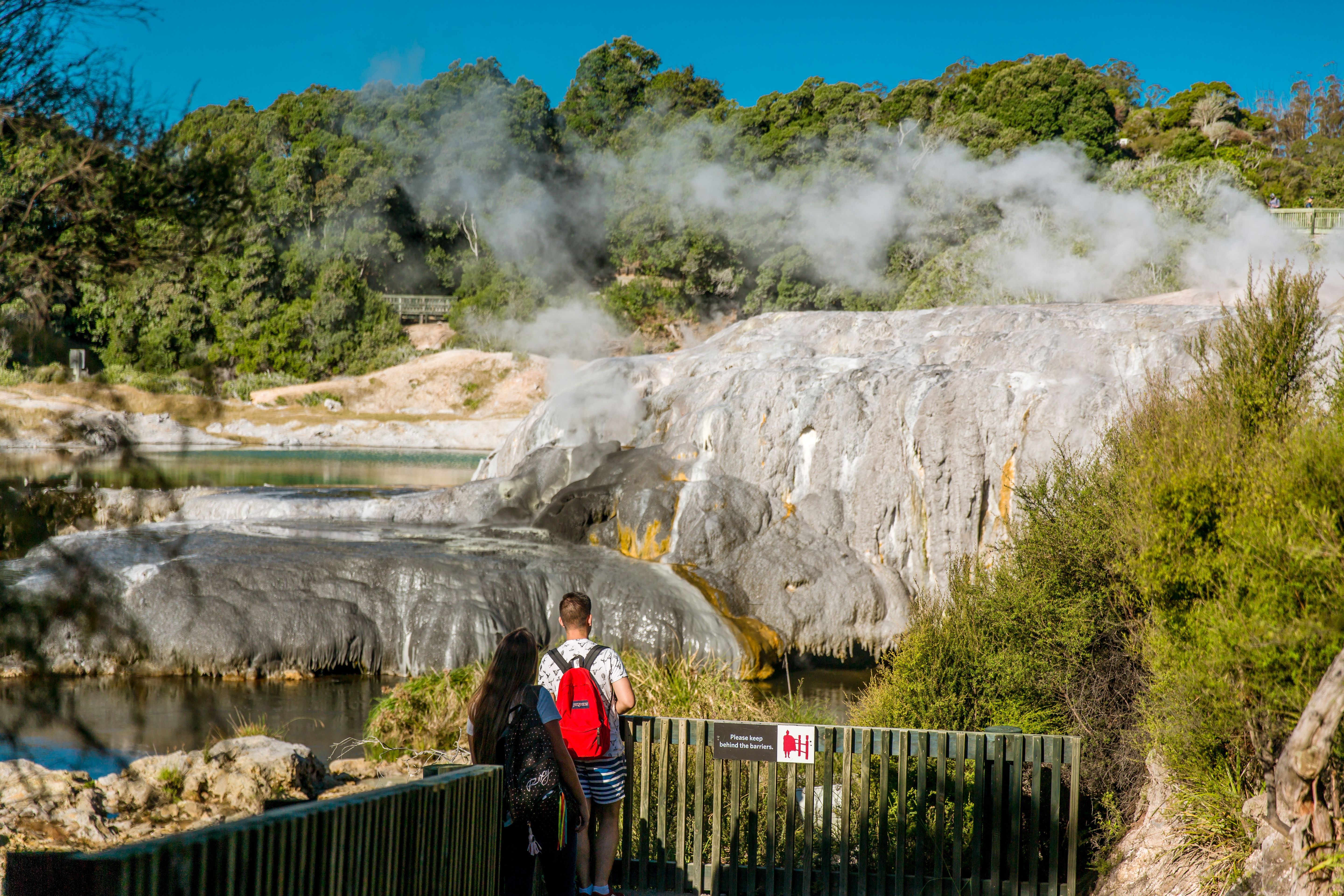 From Hamilton : Te Puia Rotorua & Waitomo Caves Small Group Tour with Lunch