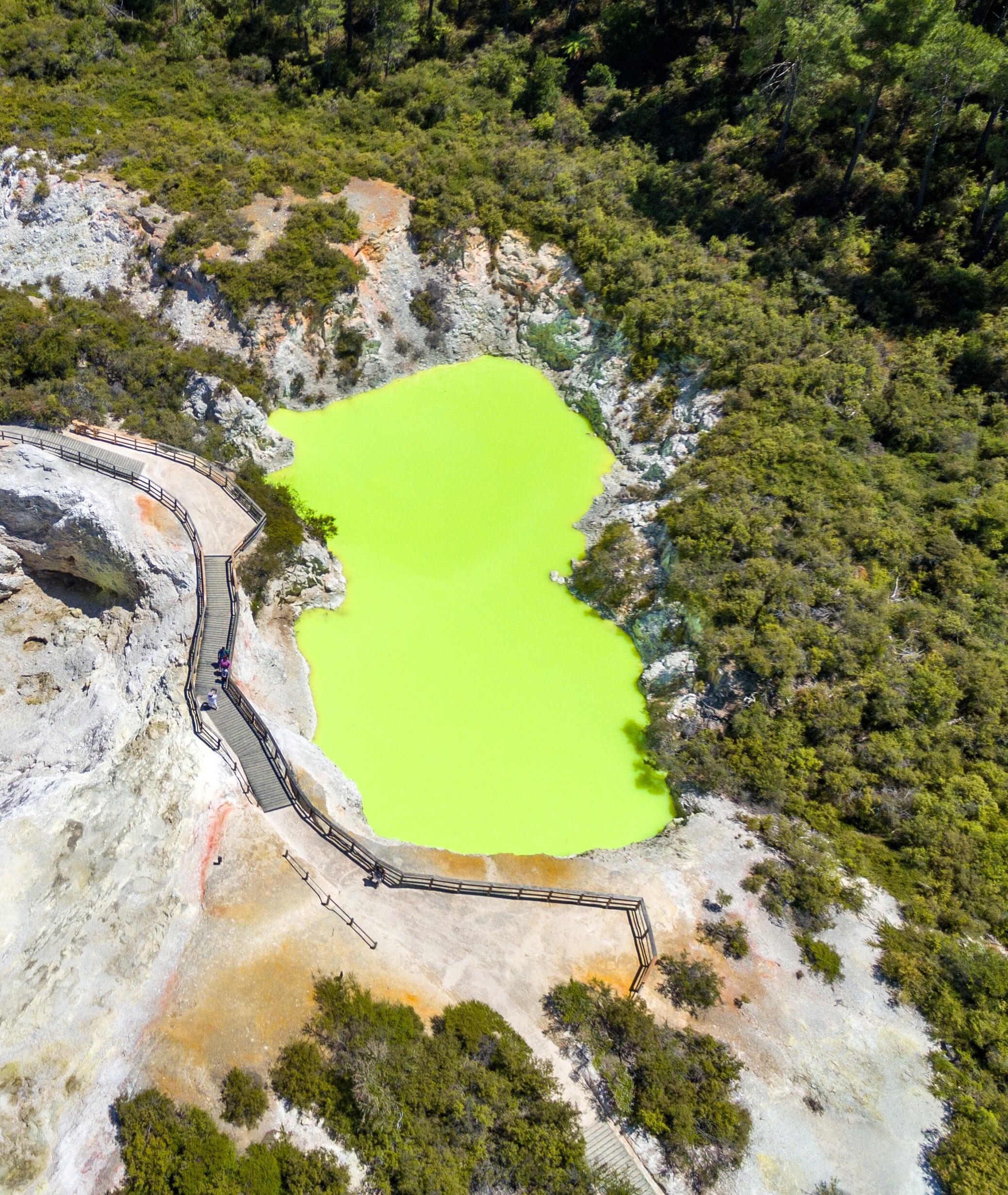 Auckland: Rotorua Wai-O-Tapu & Wai Ariki Hot Springs Small Group