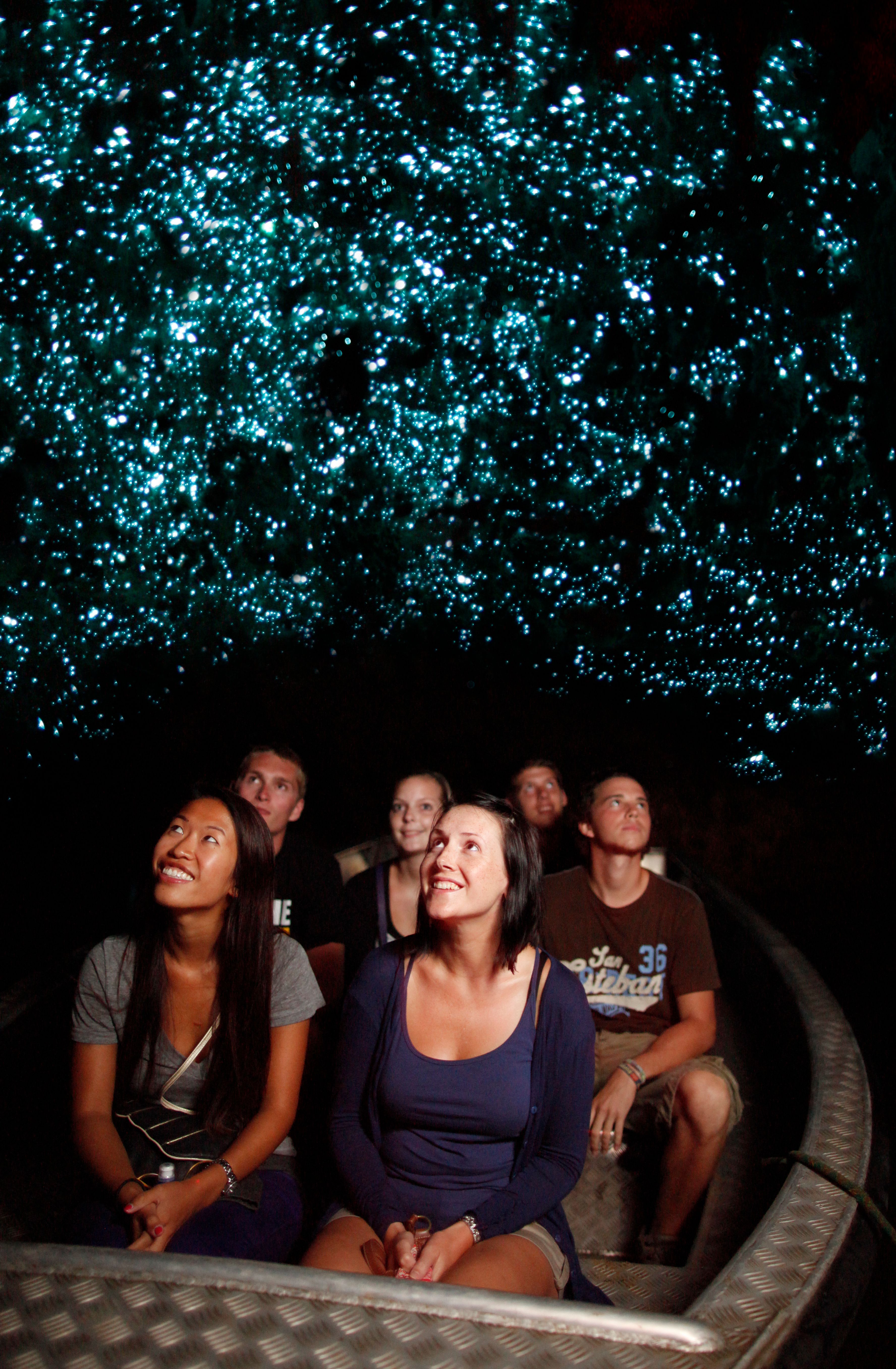 From Hamilton : Rotorua Māori Village with Haka & Waitomo Caves Small Group Tour with Lunch