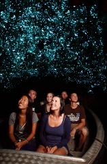 From Hamilton : Rotorua Māori Village with Haka & Waitomo Caves Small Group Tour with Lunch
