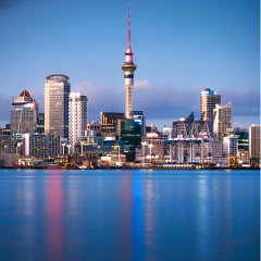 Half-Day Auckland City Tour – The City of Sails Uncovered
