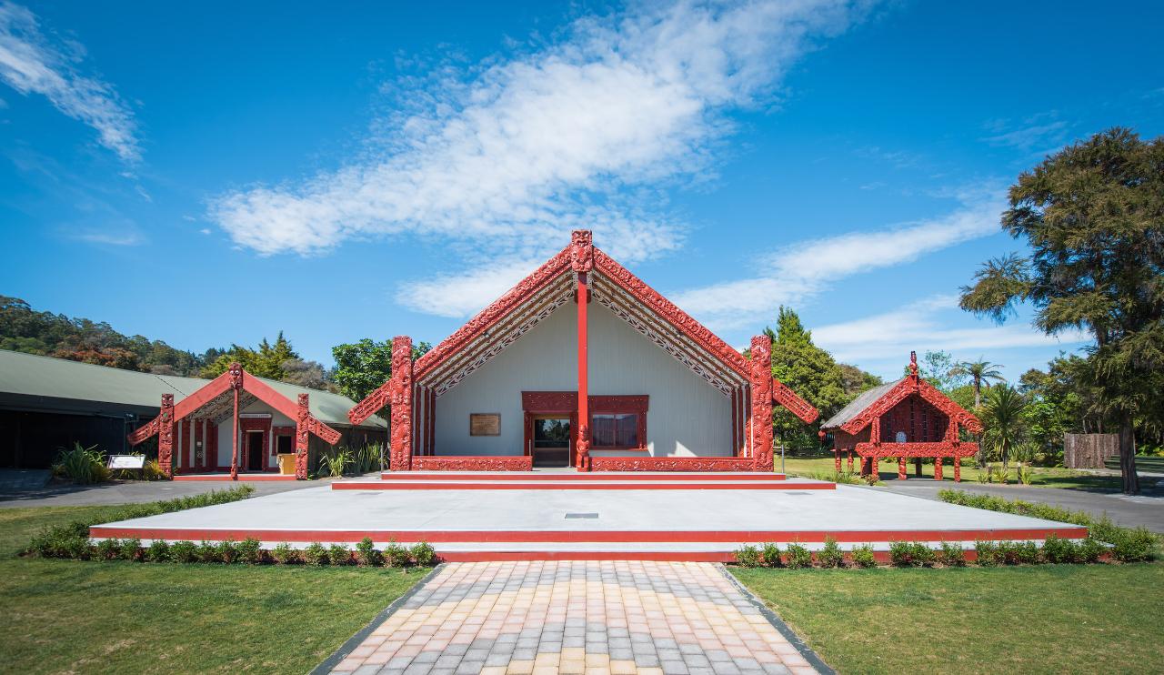 From Auckland: Rotorua Te Puia Guided Tour & Haka Performance- Small Group 