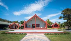 From Auckland: Rotorua Te Puia Guided Tour & Haka Performance- Small Group 