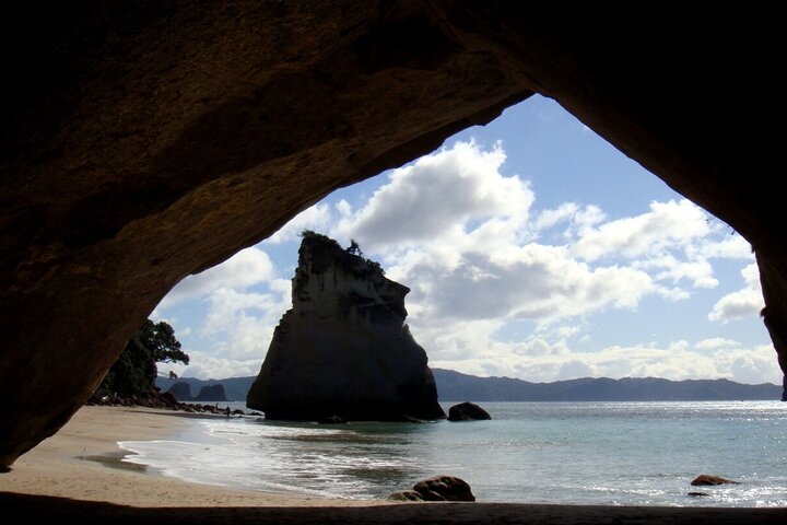 Ex Auckland: Cathedral Cove & Coromandel Private Day Tour